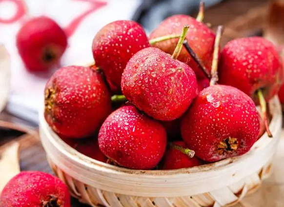 春季做好养生远离疾病困挠 春季养生禁忌要知道(图2) 春季做好养生远离疾病困挠 春季养生禁忌要知道(图2)