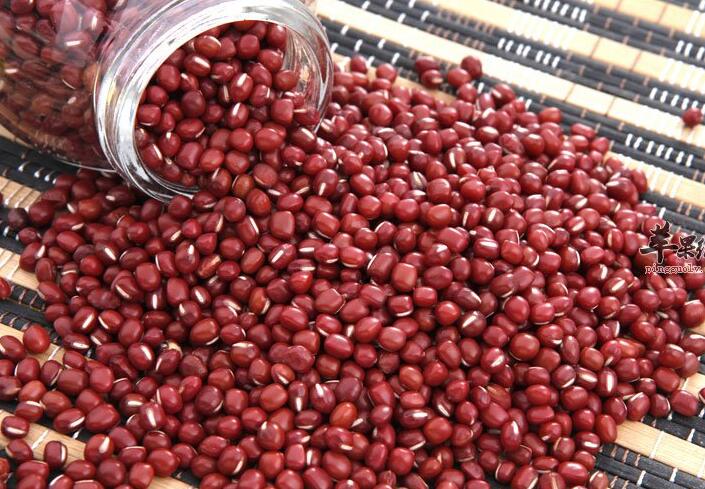 如何让你的血液更健康?15种食物水果助你补血!(图14) 如何让你的血液更健康?15种食物水果助你补血!(图14)